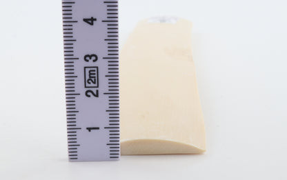 White mammoth ivory segment