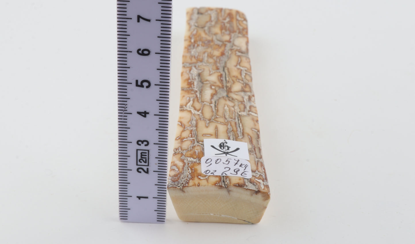 Creme-orange mammoth bark