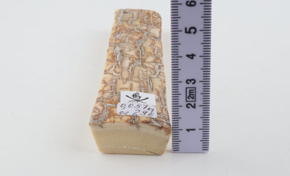 Creme-orange mammoth bark
