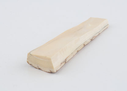 Creme-orange mammoth bark