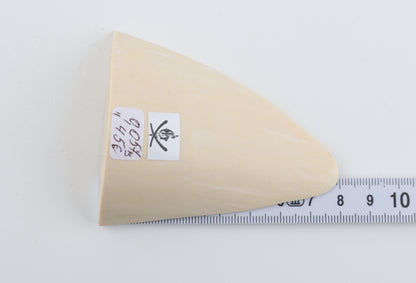 White mammoth ivory piece