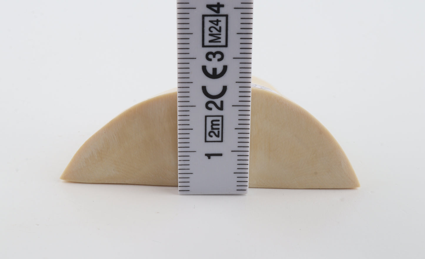 White mammoth ivory piece