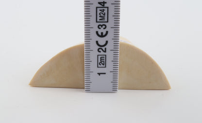 White mammoth ivory piece