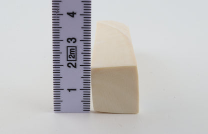 White mammoth ivory segment