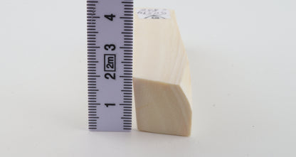 White mammoth ivory segment