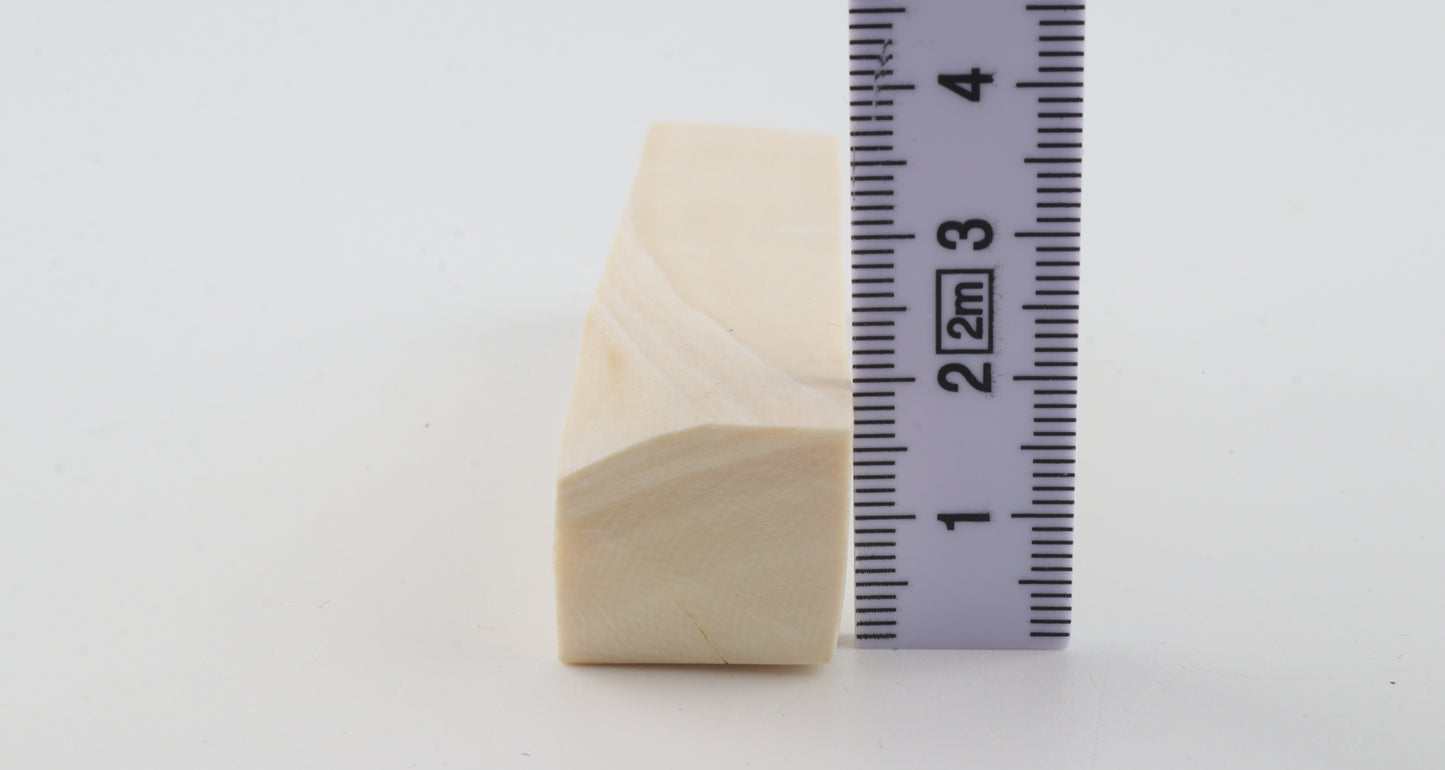 White mammoth ivory segment