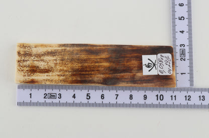 Brown mammoth bark