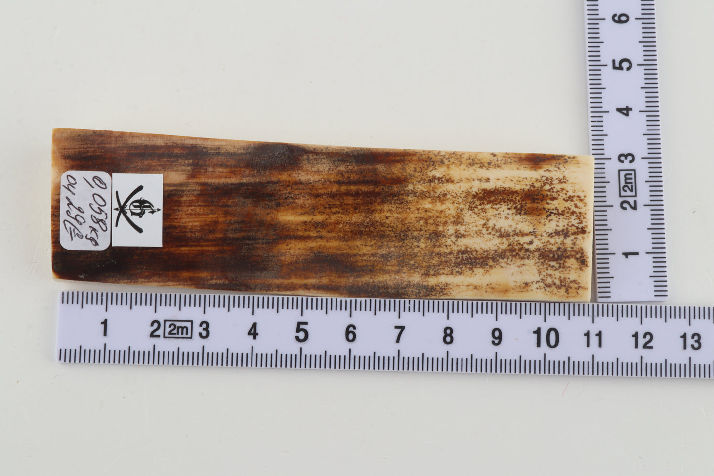 Brown mammoth bark