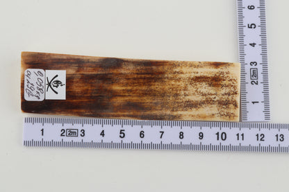 Brown mammoth bark