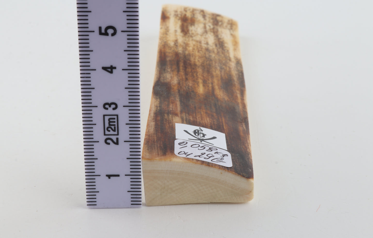 Brown mammoth bark