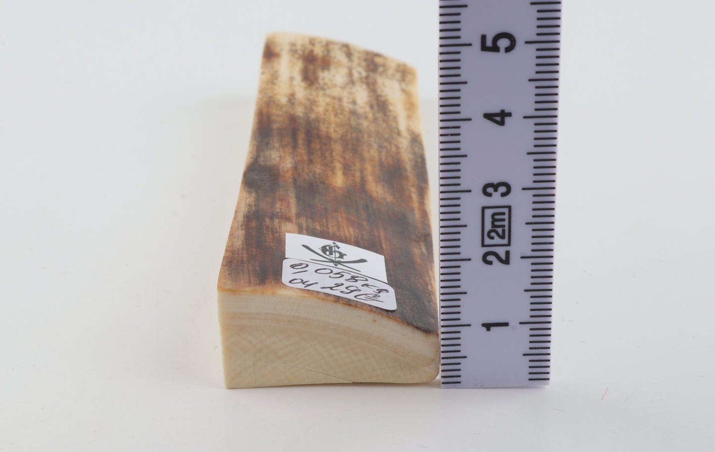 Brown mammoth bark