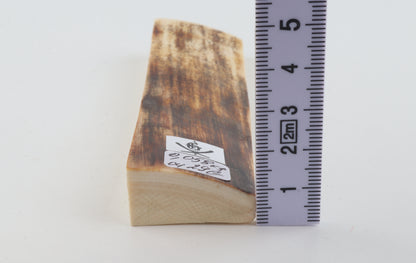 Brown mammoth bark