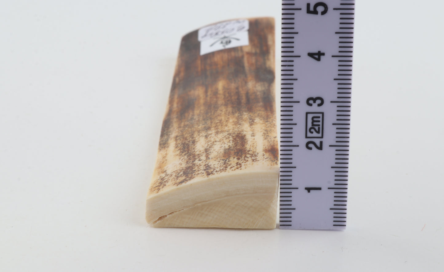 Brown mammoth bark