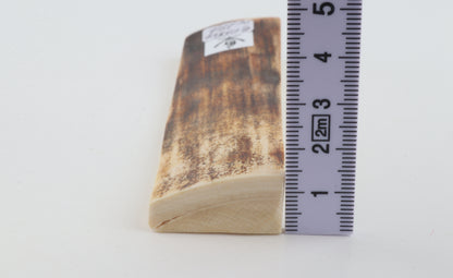 Brown mammoth bark