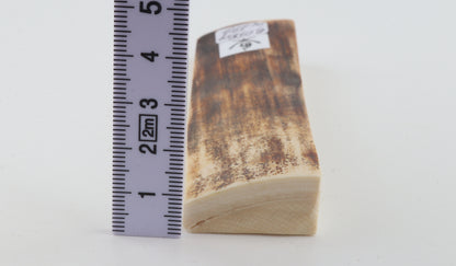 Brown mammoth bark