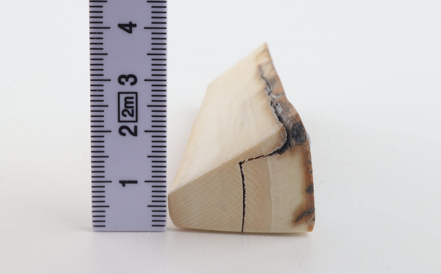 Natural mammoth ivory piece