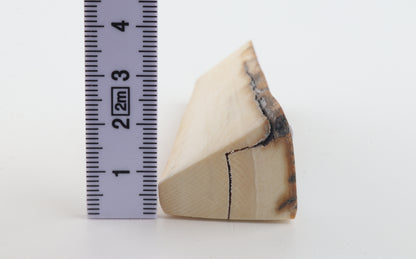 Natural mammoth ivory piece