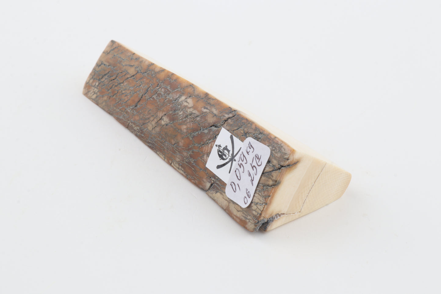 Natural mammoth ivory piece