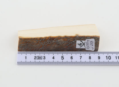 Natural mammoth ivory piece