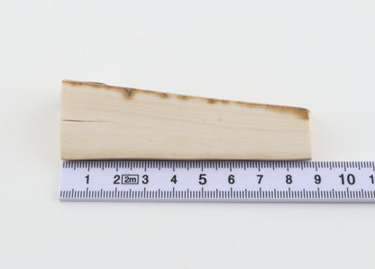 Natural mammoth ivory piece