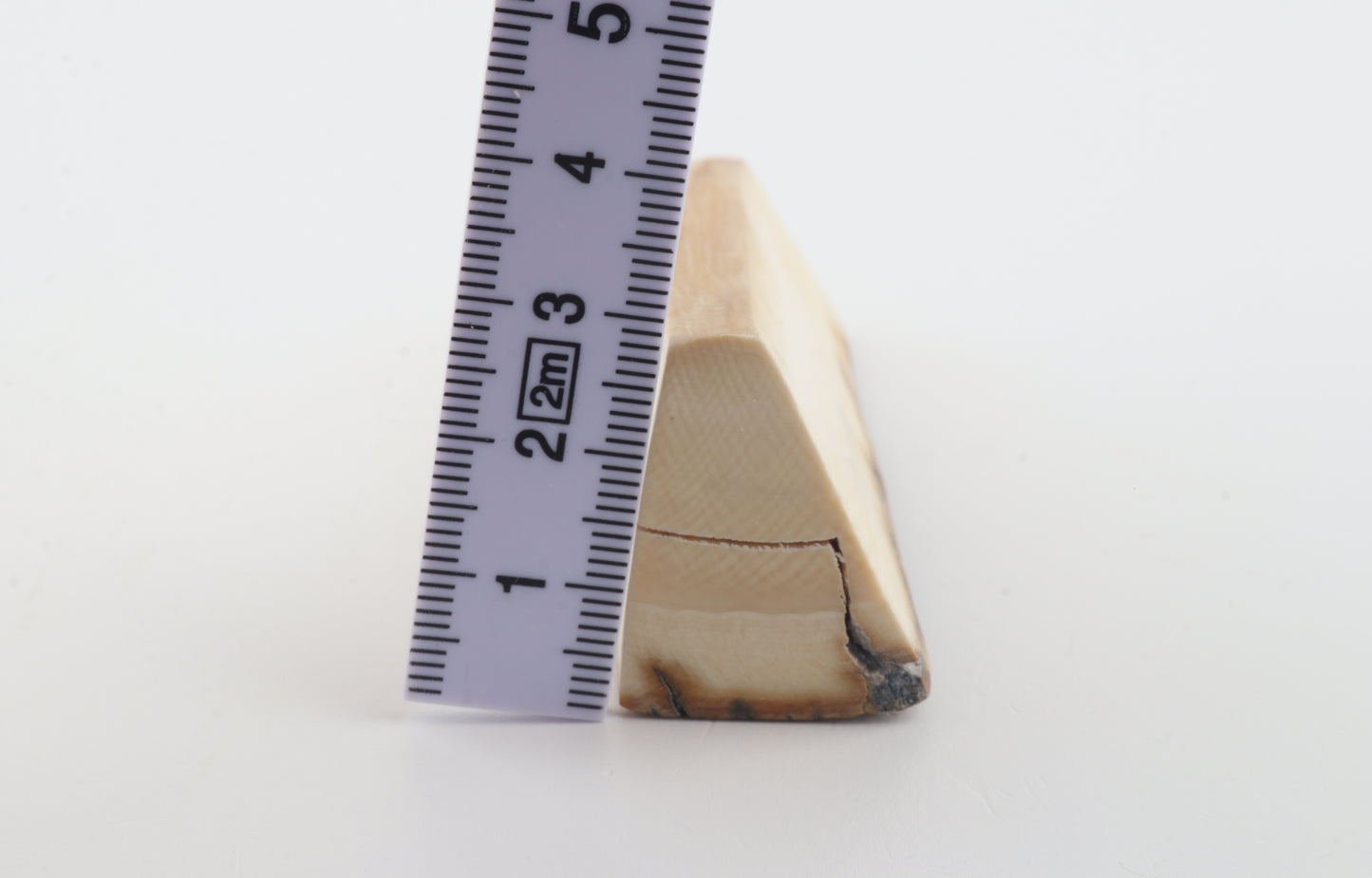 Natural mammoth ivory piece