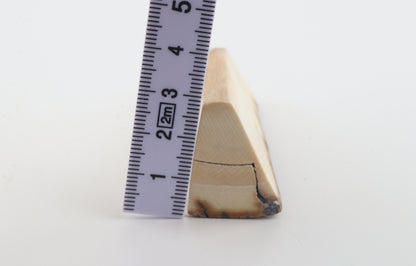 Natural mammoth ivory piece