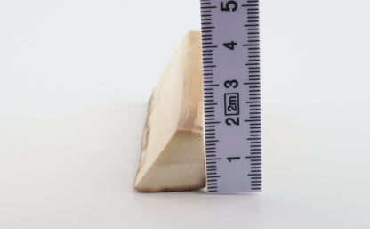 Natural mammoth ivory piece