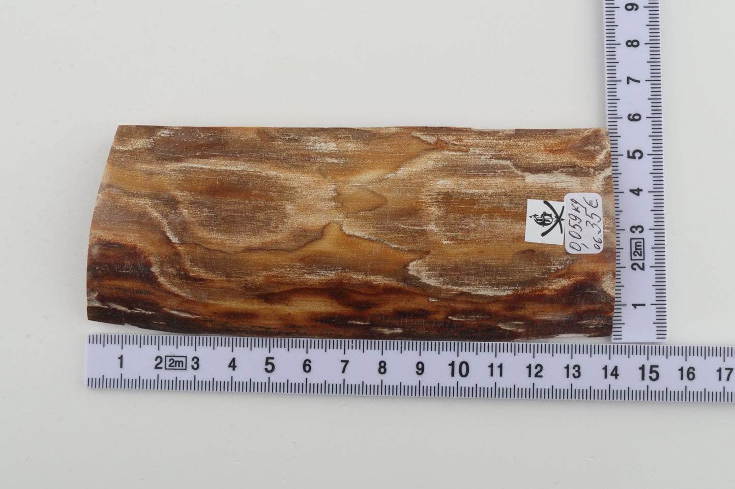 Beige mammoth bark