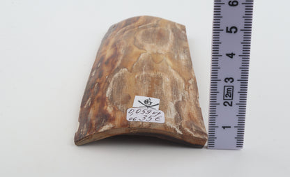 Beige mammoth bark