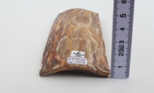 Beige mammoth bark