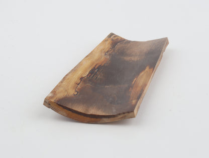 Beige mammoth bark