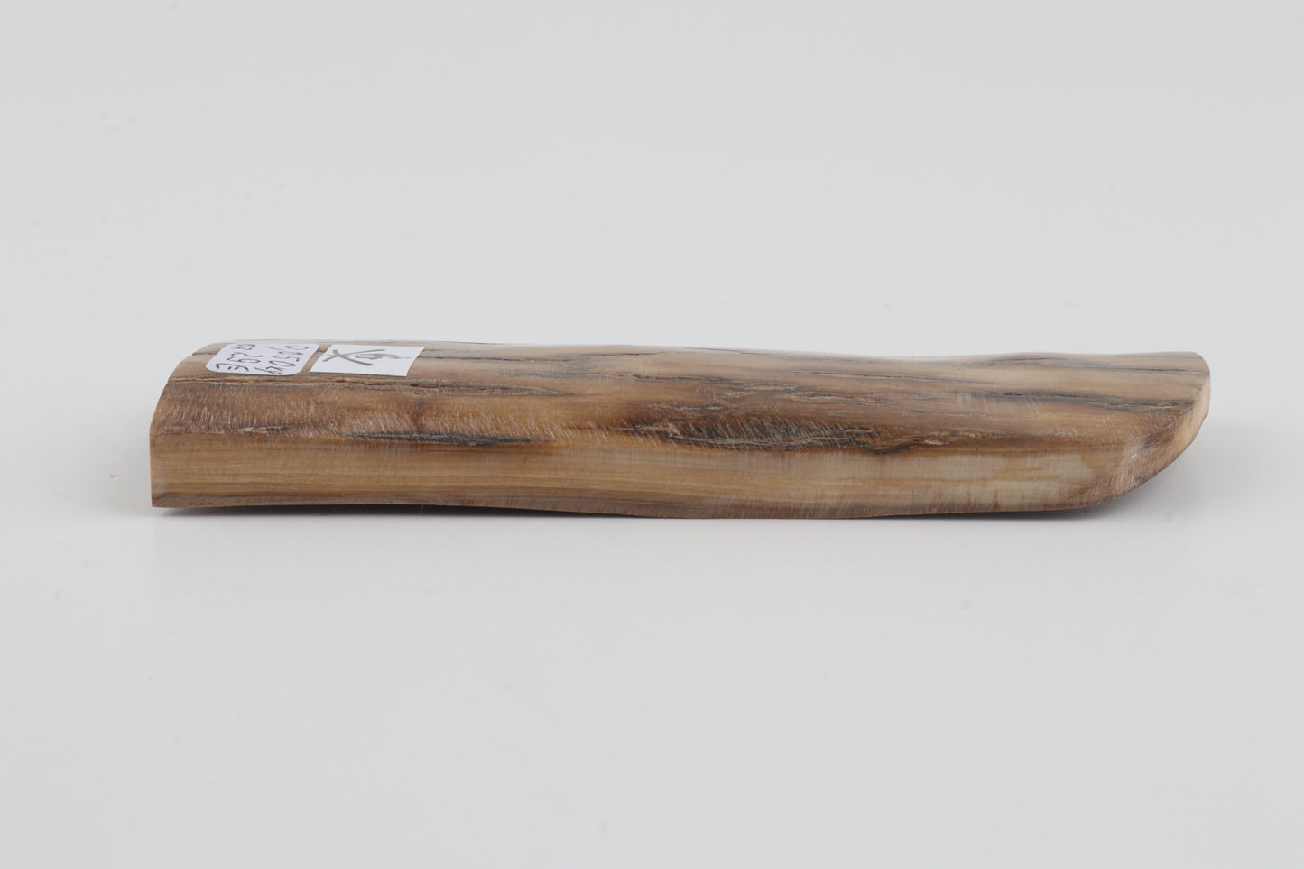 Beige mammoth bark