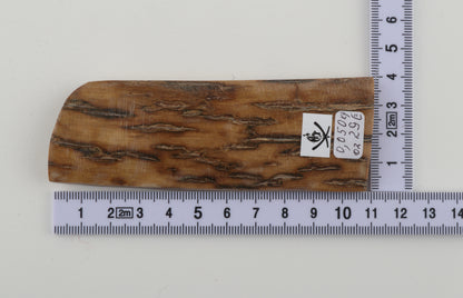 Beige mammoth bark