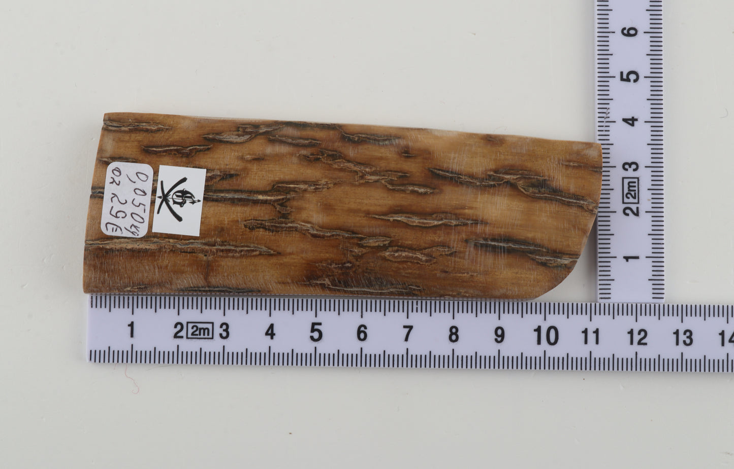 Beige mammoth bark