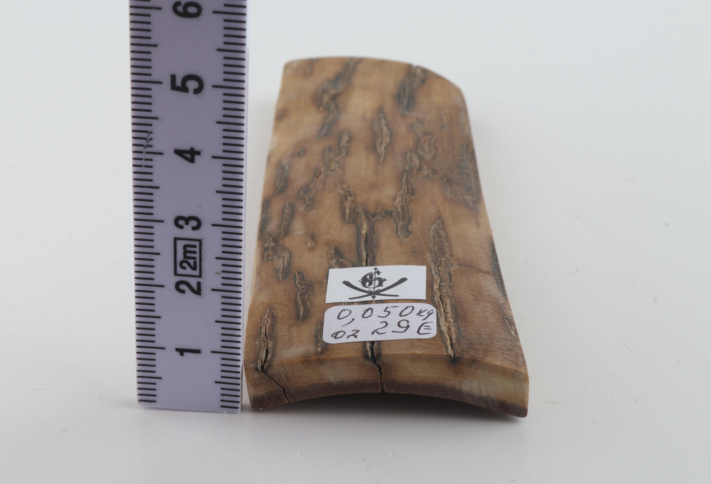 Beige mammoth bark