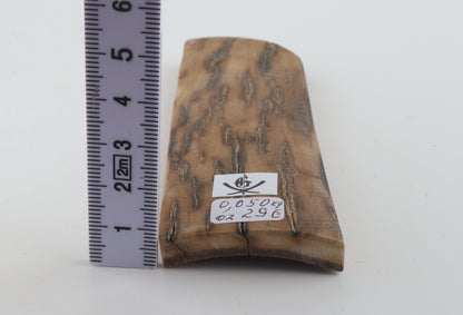 Beige mammoth bark
