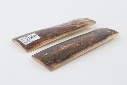 Natural mammoth bark scales