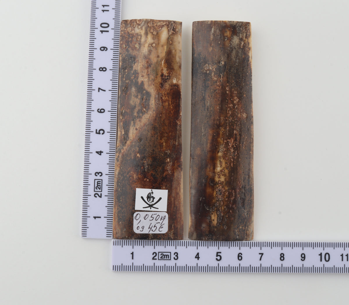 Natural mammoth bark scales