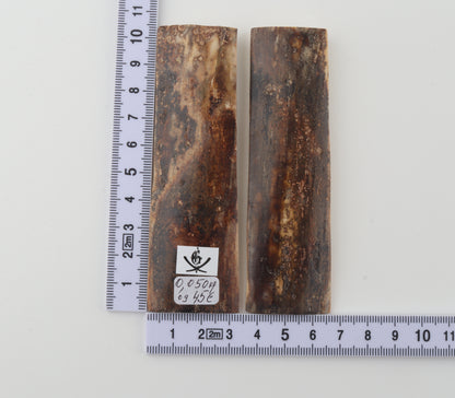 Natural mammoth bark scales