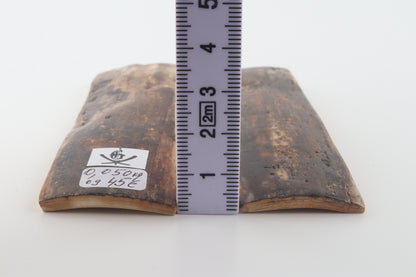 Natural mammoth bark scales