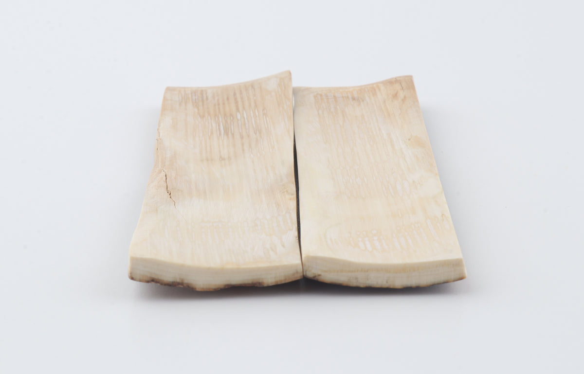 Natural mammoth bark scales