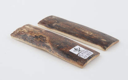 Natural mammoth bark scales