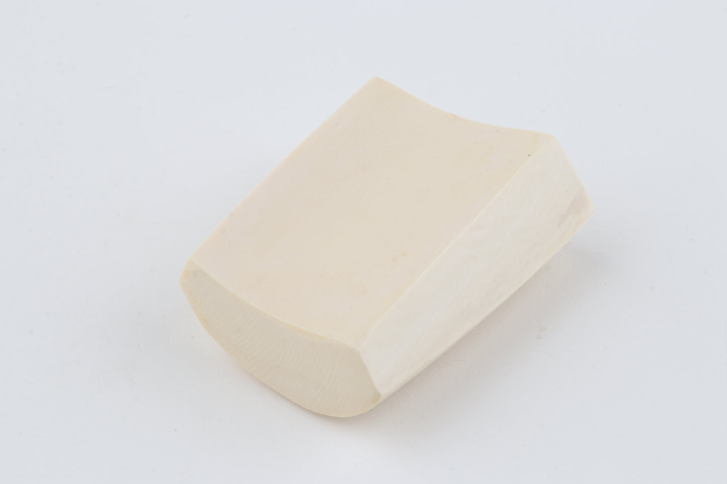 White mammoth ivory segment