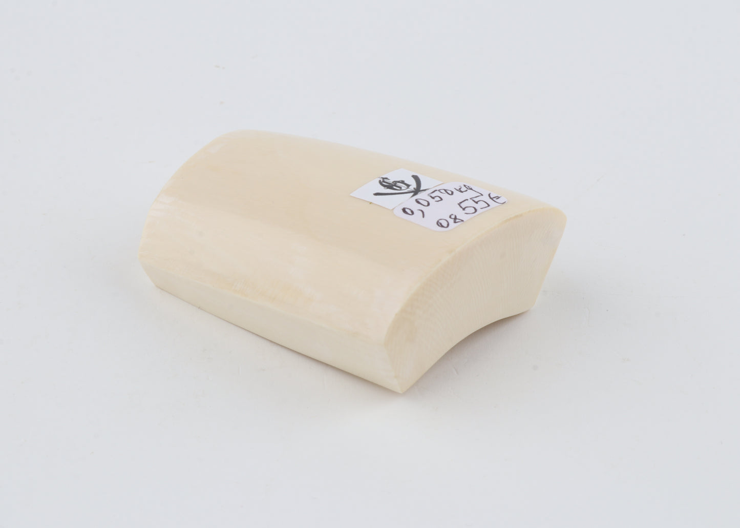 White mammoth ivory segment