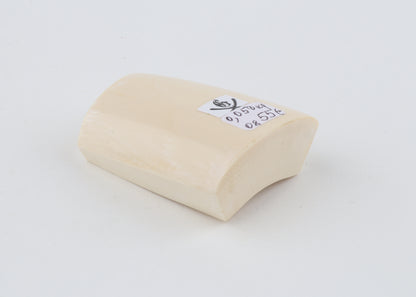 White mammoth ivory segment