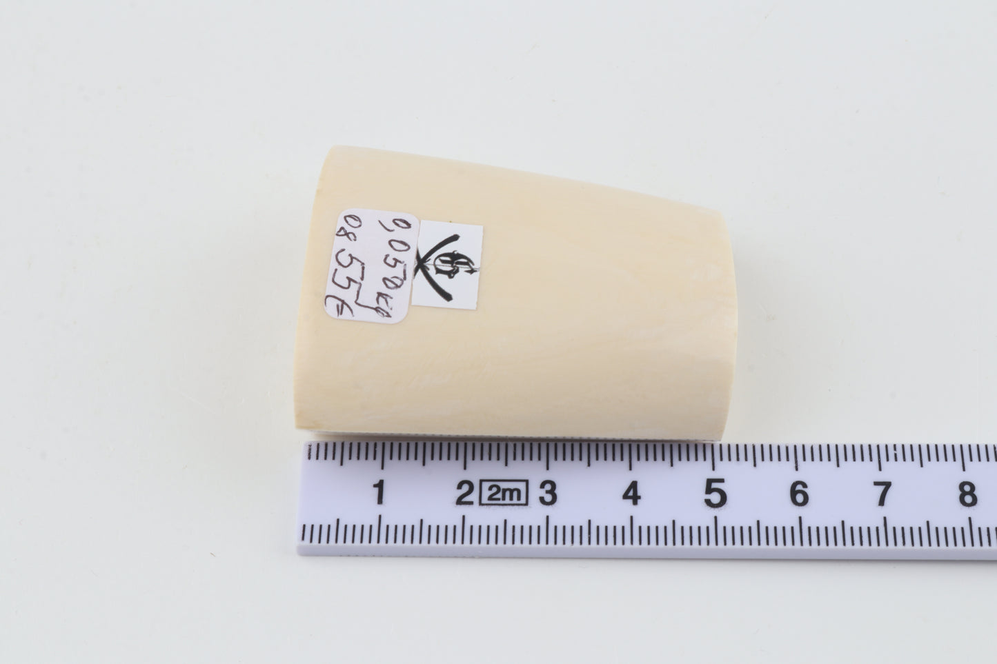 White mammoth ivory segment
