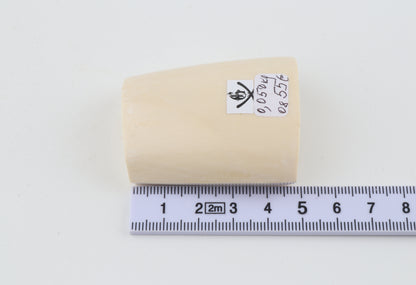 White mammoth ivory segment