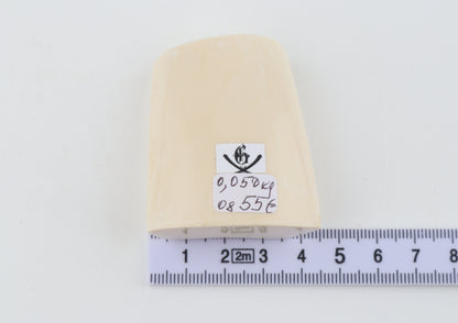 White mammoth ivory segment