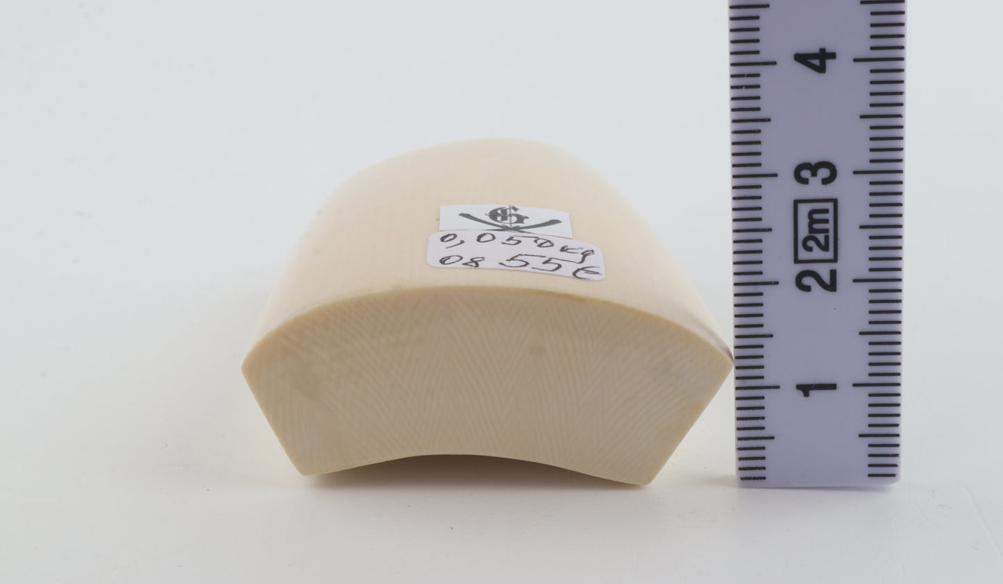 White mammoth ivory segment