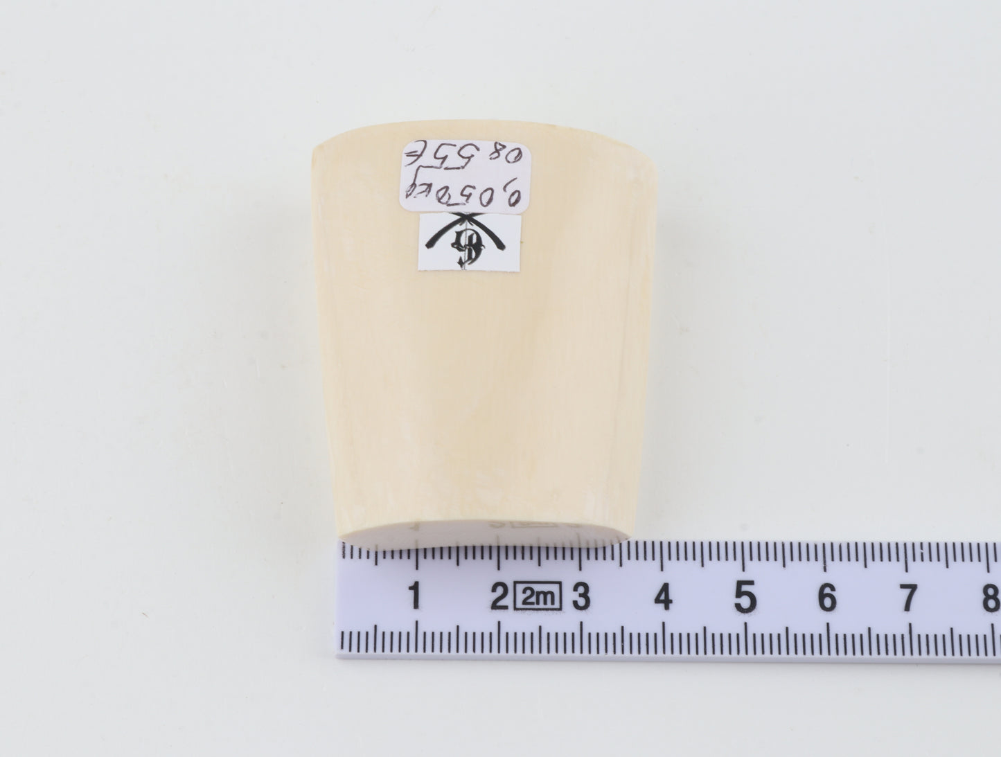 White mammoth ivory segment